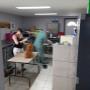 typical day at the grooming salon- we only accept 4-5 appointments per day. Al appointments have to be scheduled in advance. typical day at the grooming salon- we only accept 4-5 appointments per day. Al appointments have to be scheduled in advance.