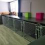 Our dog boarding area. There're 8 individual kennels located in our house. Dogs will feel at home when staying with us. Our dog boarding area. There're 8 individual kennels located in our house. Dogs will feel at home when staying with us.