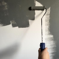 Mississauga Painters
