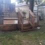 Photo Photo
