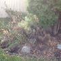 Photo Photo