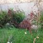 Photo Photo