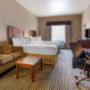 Suite Suite