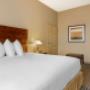 Guest room with king bed(s) Guest room with king bed(s)
