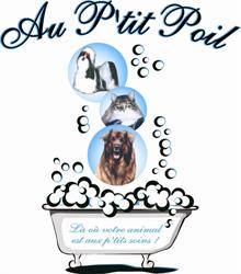 Au P'tit Poil