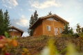 Big cabins