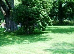 Louth United Church and Maple Lawn Cemetery