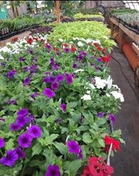 Green Acres Garden Center