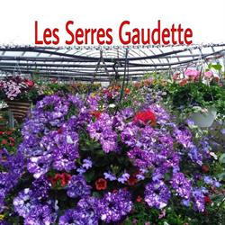 Les Serres Gaudette