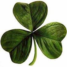 Auld Shamrock