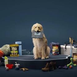 Pet Valu