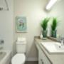 Modern bathroom with tub shower at Acton Apartments in Acton, ON Modern bathroom with tub shower at Acton Apartments in Acton, ON