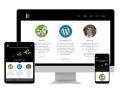Website Design