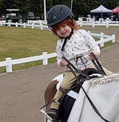 Collingwood Equestrian