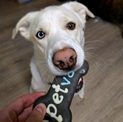 Pet Valu