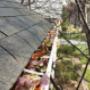 Eavestrough Cleaning services from Toronto's multi award winning company. Eavestrough Cleaning services from Toronto's multi award winning company.