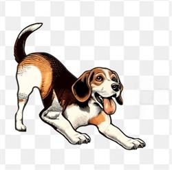 For Pet's Sake - Pet Food & Supplies