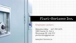 Pluri-Horizons