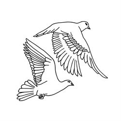Two Doves Psychotherapy Services