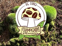 Champignons Maison