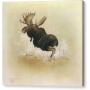 Moose - Canvas Print by Canadian artist Glen Loates Moose - Canvas Print by Canadian artist Glen Loates
