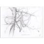 Wind Blown Leaves - Art Print by Canadian artist Glen Loates Wind Blown Leaves - Art Print by Canadian artist Glen Loates