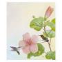 Hummingbirds And Hibiscus - Art Print by Canadian artist Glen Loates Hummingbirds And Hibiscus - Art Print by Canadian artist Glen Loates