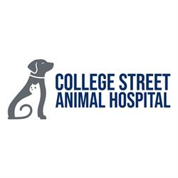 College Street Animal Hospital