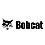 Bobcat of Vernon
