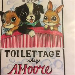 Toilettage chez AMoore