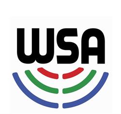 Wasaga Society for the Arts