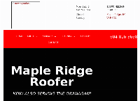 Big Guns Roofing