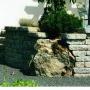 Photo Photo