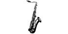 Cours de Saxophone Frédéric Roberge