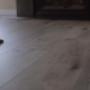 Residential Vinyl Flooring Edmonton Residential Vinyl Flooring Edmonton