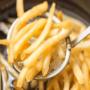 Frylow | Makes Your Oil Best For Frying Frylow | Makes Your Oil Best For Frying