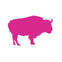 Pink Buffalo Films