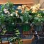 Photo Photo