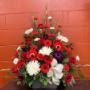 Photo Photo