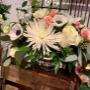 Photo Photo