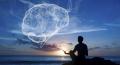 BRAIN SPA
