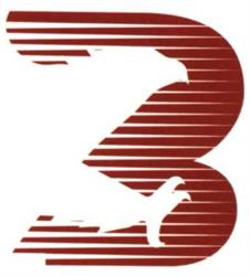 Biomedical Implant Technology Inc.