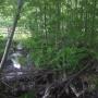 Cours d'eau et milieu humide. Cours d'eau et milieu humide.