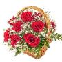 CLASSIC COMFORT ROSE GIFT CLASSIC COMFORT ROSE GIFT