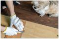 Flooring Installation