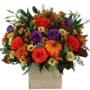 Fashionable and trendy fall cub arrangement in shades of orange with a POP of purple! Accented with pinecones and a decorative gourd for an extra touch of fall! Fashionable and trendy fall cub arrangement in shades of orange with a POP of purple! Accented with pinecones and a decorative gourd for an extra touch of fall!