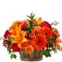 As the seasons change, give a gift that will leave a lasting smile on their face. With red roses, orange spray roses, orange gerbera daisies, and an assortment of lush greens. As the seasons change, give a gift that will leave a lasting smile on their face. With red roses, orange spray roses, orange gerbera daisies, and an assortment of lush greens.