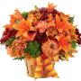 Nothing says fall quite like our Autumn Celebration Basket. Filled with orange lilies, green trick dianthus, orange carnations, fall pompons and a seasonal pumpkin pic. Nothing says fall quite like our Autumn Celebration Basket. Filled with orange lilies, green trick dianthus, orange carnations, fall pompons and a seasonal pumpkin pic.