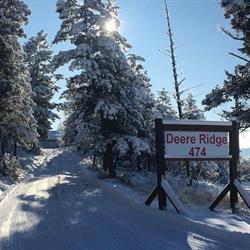 Deere Ridge Cabins