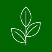 Miracles of Homeopathy Edmonton